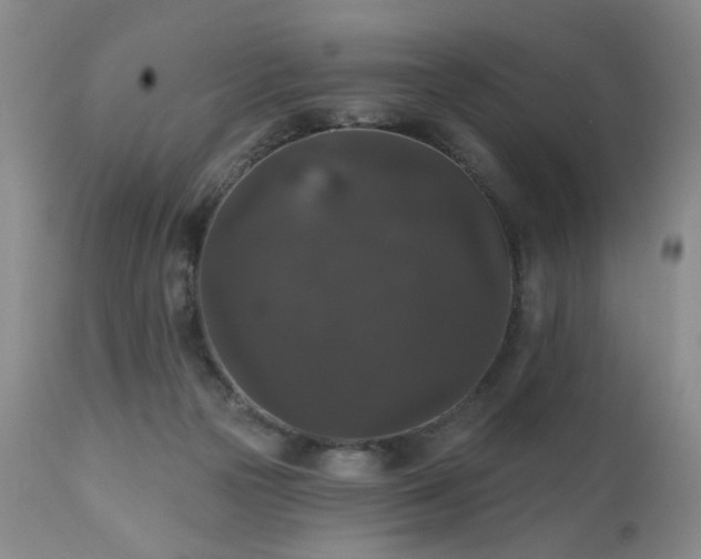 X0000111160169200906301409
