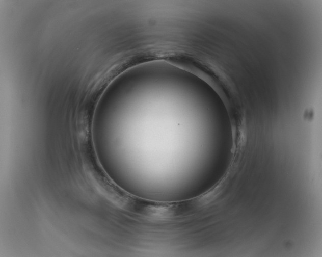 X0000111160170200906301409