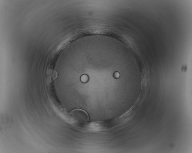X0000111160171200906301409