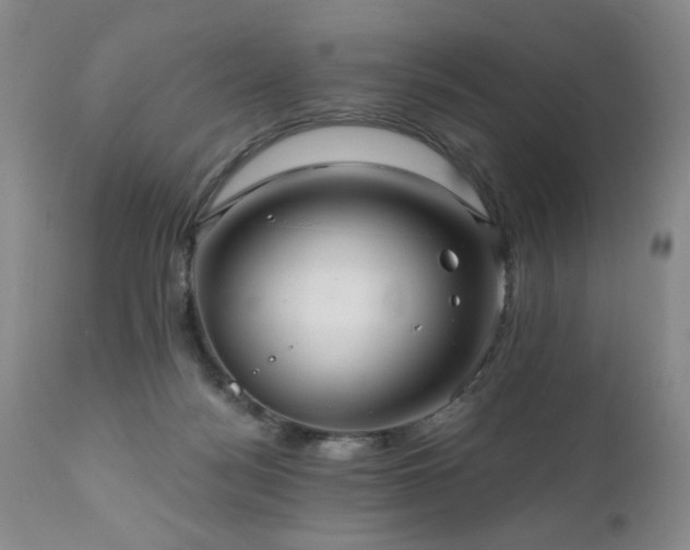X0000111160172200906301409