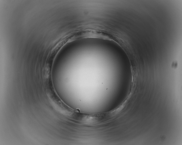 X0000111160174200906301409