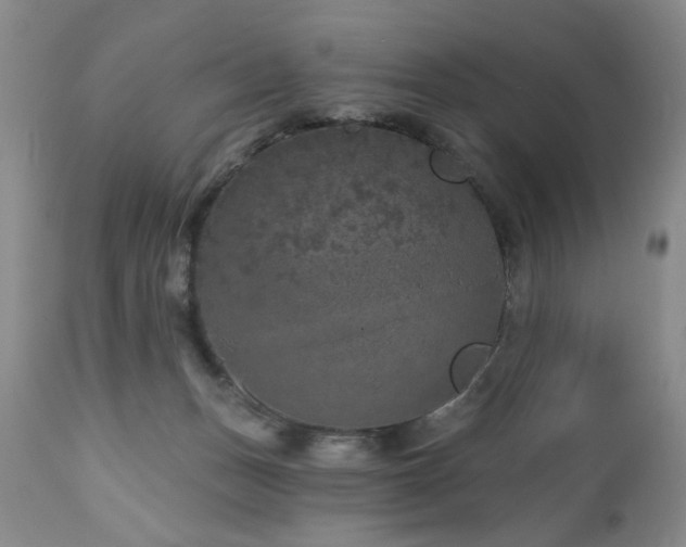 X0000111160175200906301409