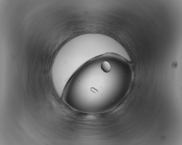 X0000111160176200906301409