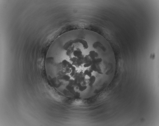 X0000111160177200906301409