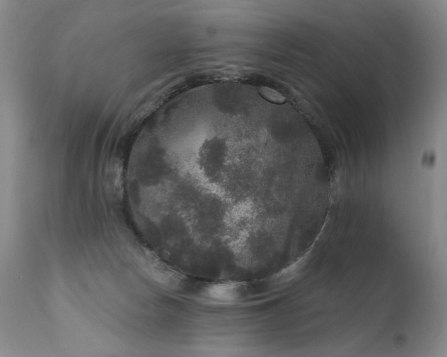 X0000111160178200906301409