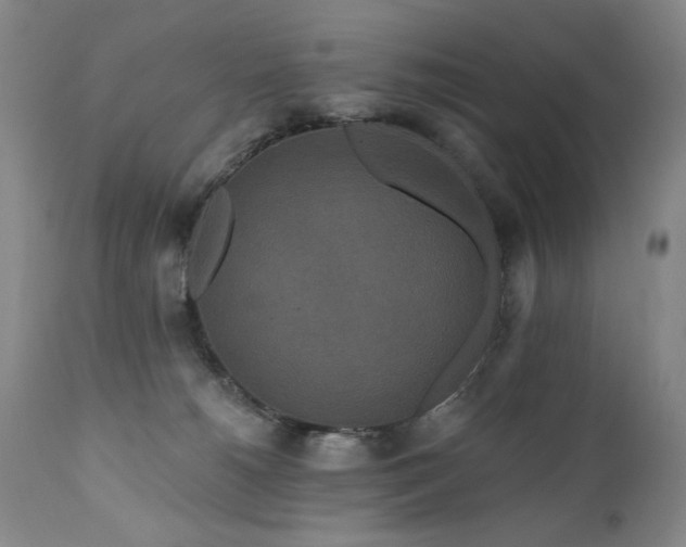 X0000111160180200906301409