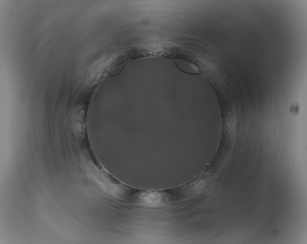 X0000111160181200906301409