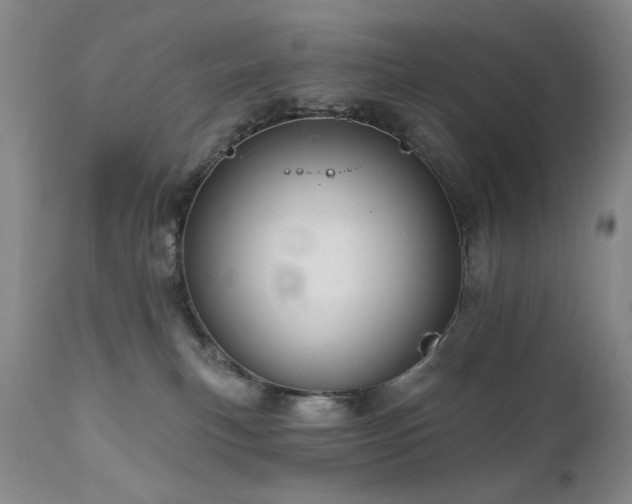 X0000111160183200906301409