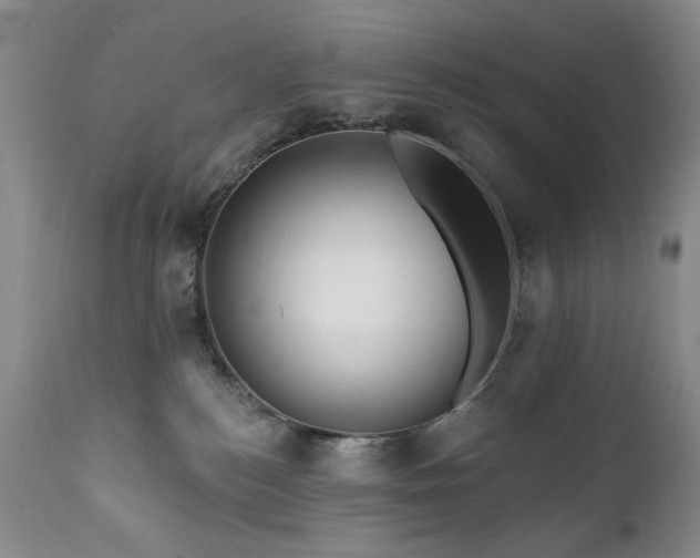 X0000111160184200906301409