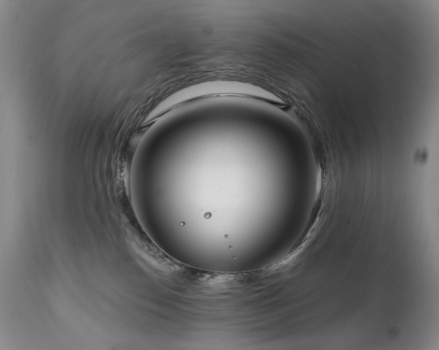 X0000111160186200906301409