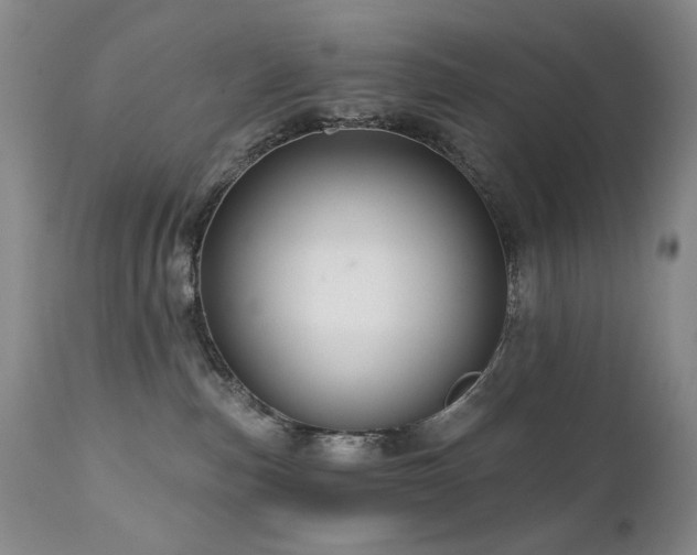 X0000111160187200906301409