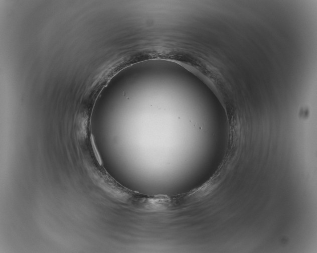 X0000111160188200906301409