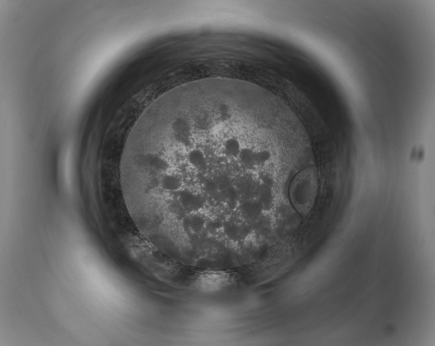 X0000111160189200906301409