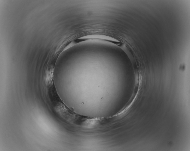 X0000111160190200906301409