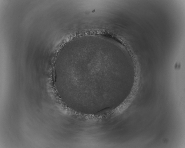X0000111160192200906301409