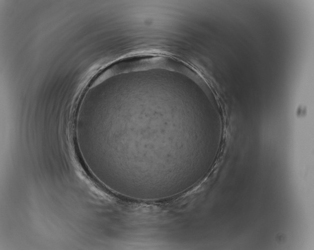 X0000111160193200906301409