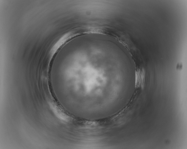 X0000111160195200906301409