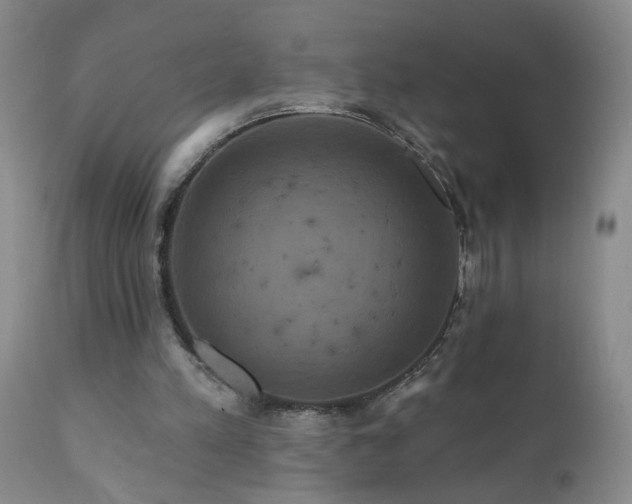X0000111160197200906301409