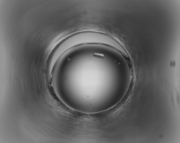 X0000111160199200906301409