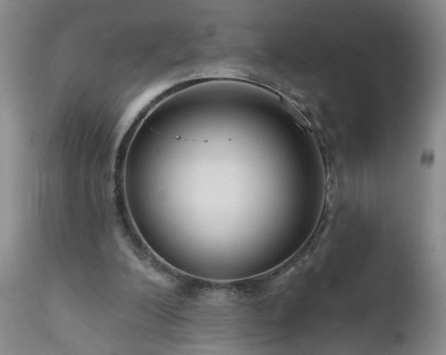 X0000111160200200906301408