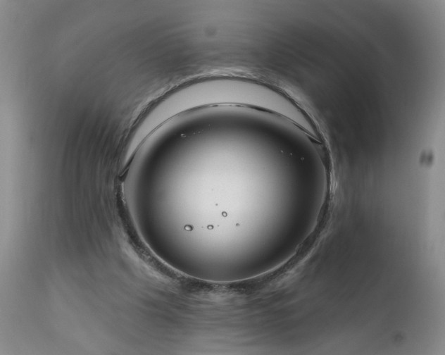 X0000111160201200906301408