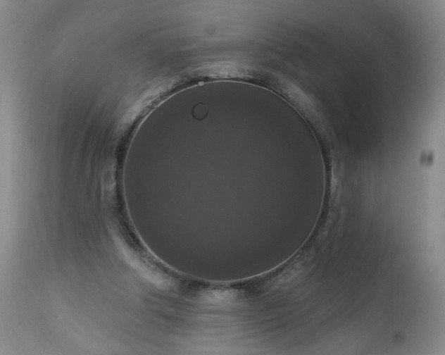 X0000111160202200906301408