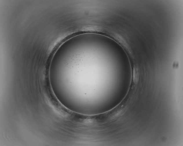 X0000111160204200906301408