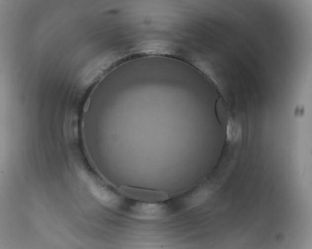 X0000111160205200906301408