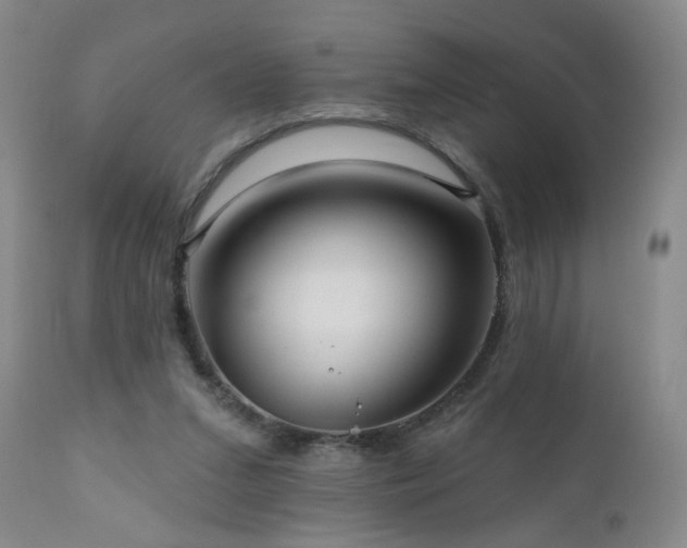 X0000111160207200906301408