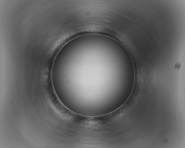 X0000111160208200906301408
