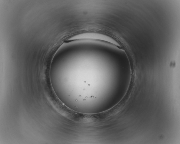 X0000111160209200906301408