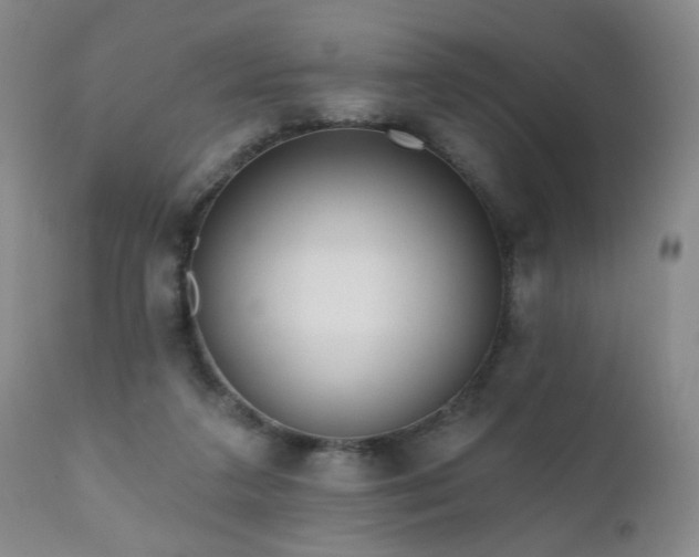 X0000111160211200906301408