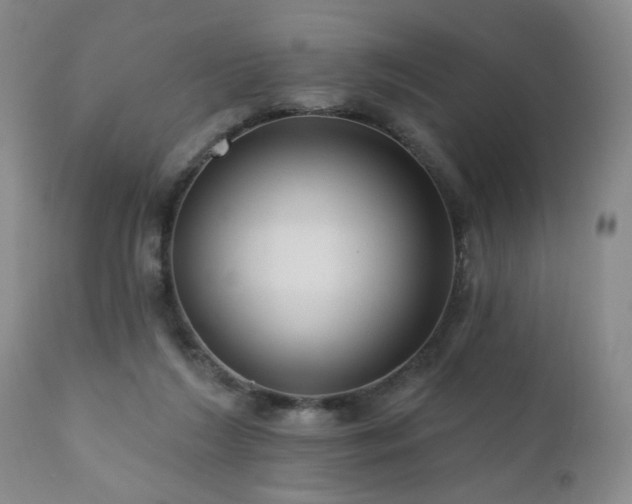 X0000111160212200906301408