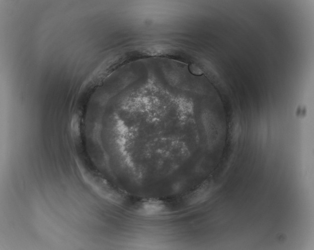 X0000111160214200906301408