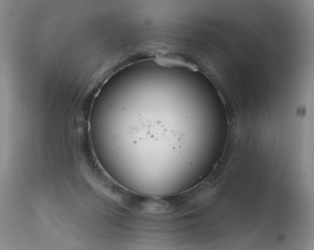 X0000111160215200906301408