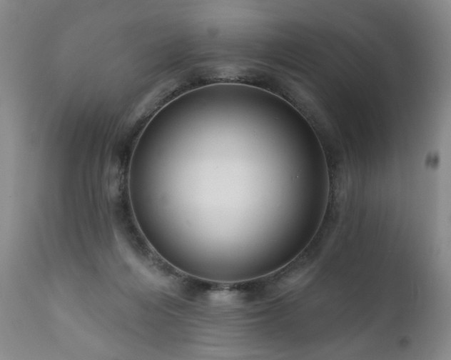 X0000111160216200906301408