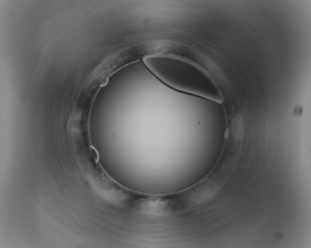 X0000111160217200906301408