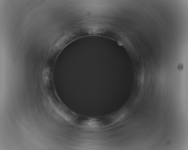 X0000111160219200906301408