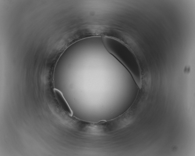 X0000111160221200906301408