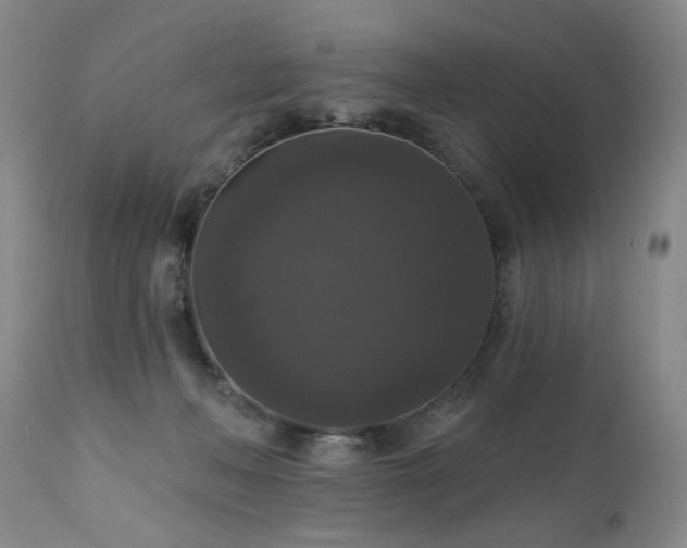 X0000111160222200906301408