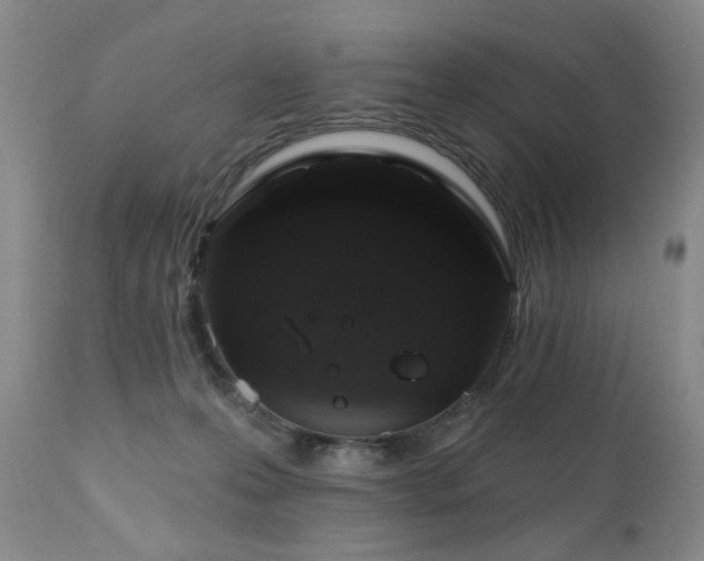 X0000111160223200906301408
