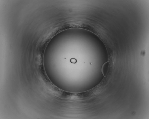 X0000111160224200906301408