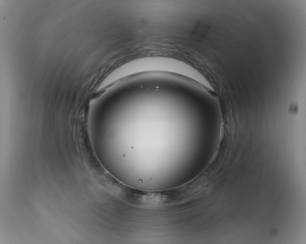 X0000111160225200906301408