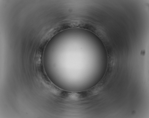 X0000111160226200906301408
