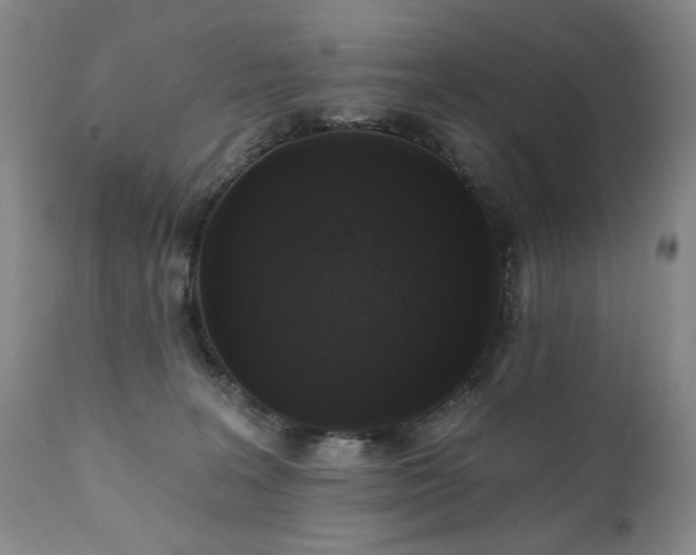 X0000111160227200906301408