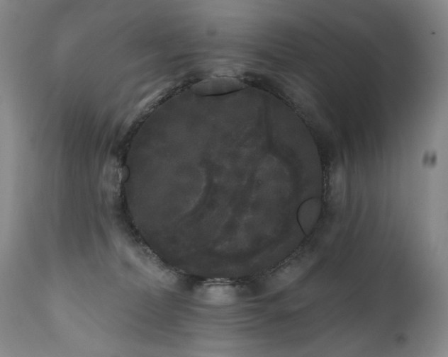 X0000111160228200906301408