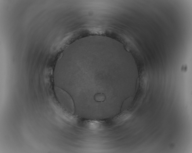 X0000111160229200906301408