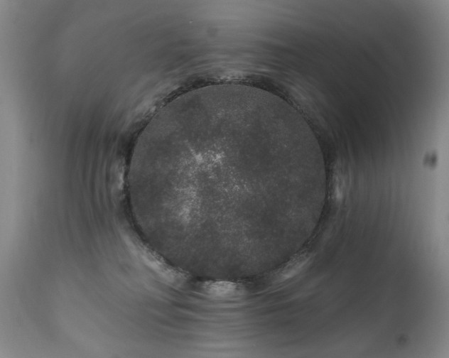 X0000111160230200906301408