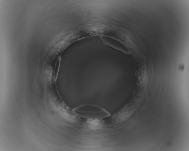 X0000111160231200906301408