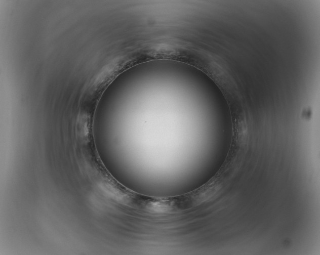 X0000111160232200906301408